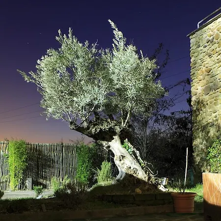 Bologna San Lazzaro Hotel 4*